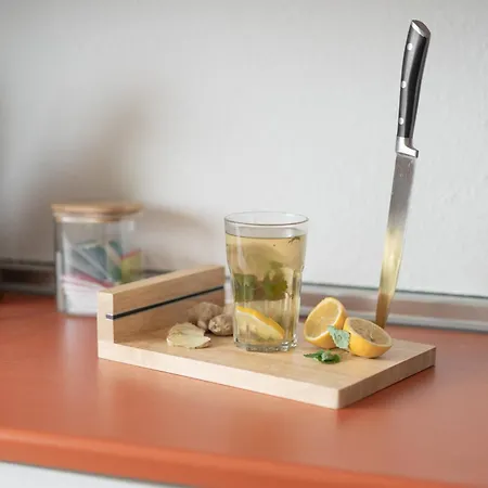 Bodensee-haus - Am Bodensee Mit Garten Tatil Evi